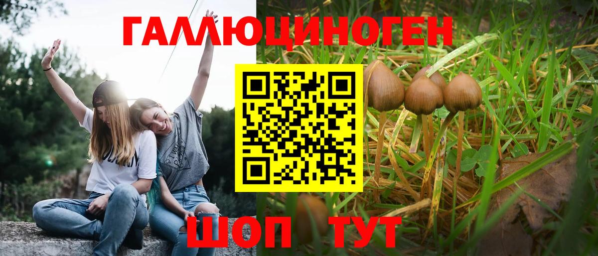Псилоцибиновые грибы GOLDEN TEACHER  Вход с VPN  Торжок 