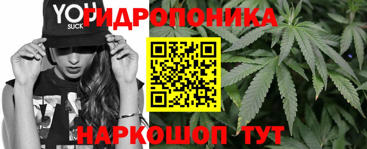 Каннабис план  Шишки марихуана марихуана  Конопля Amnesia  Торжок  Шишки марихуана MAZAR  Вход с VPN 
